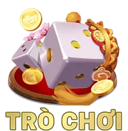 Biểu đồ quản lý vốn trong cá cược đá gà